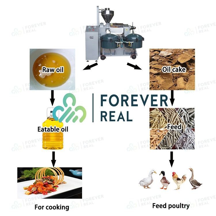 HTB1ChX1bzzuK1Rjy0Fpq6yEpFXaS