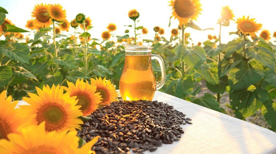 sunflower-seeds