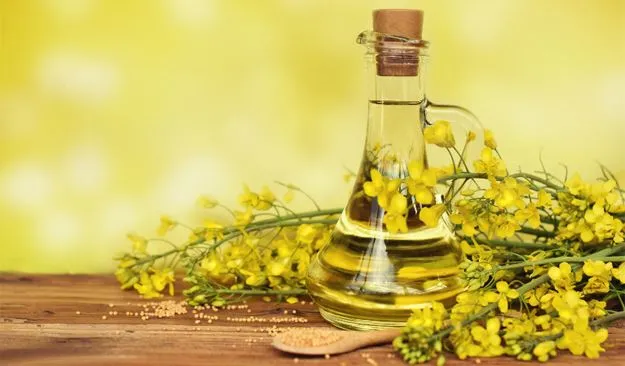 rapeseed_oil