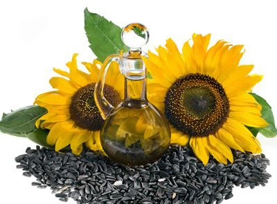 sunflower oil press machine