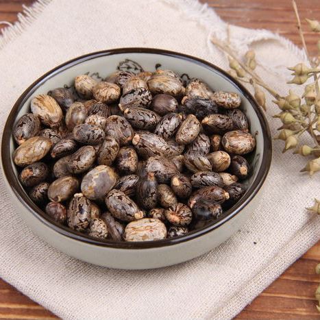 Castor Oil Press Machine