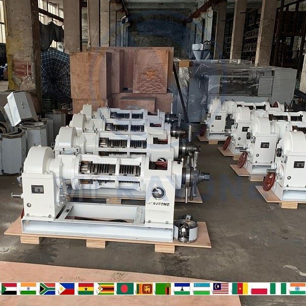 Edible Oil Expeller