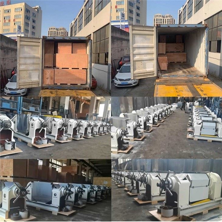 Edible Oil Expeller