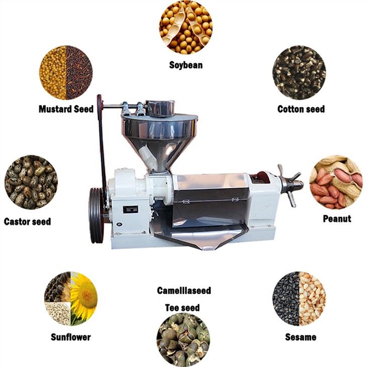 Edible Oil Expeller