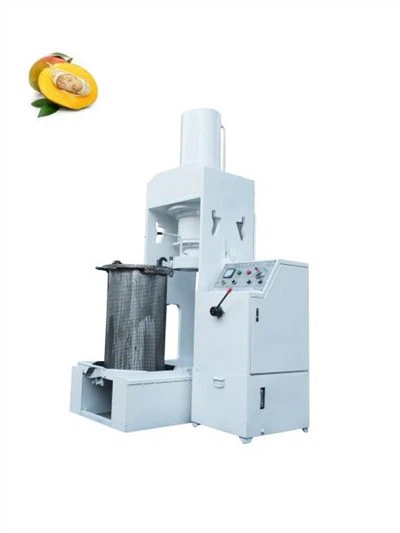 Mango Seed Oil Making Machine