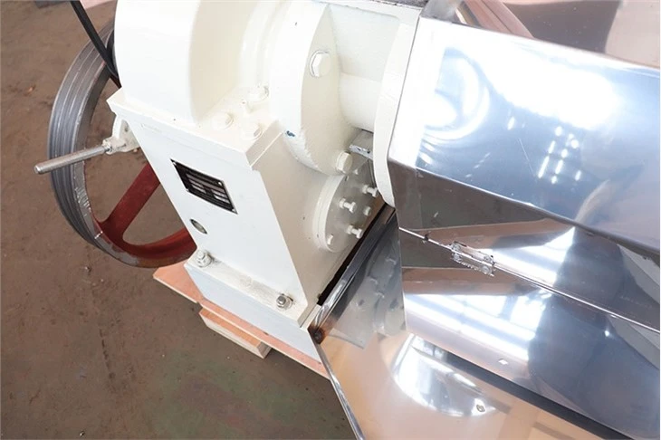 Castor Bean Oil Press
