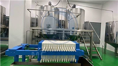 Sunflower Seed Oil Refining Machine