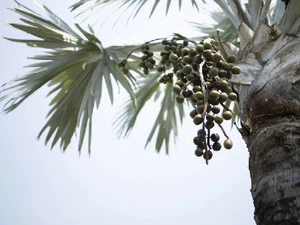 news-456-342 news-456-342