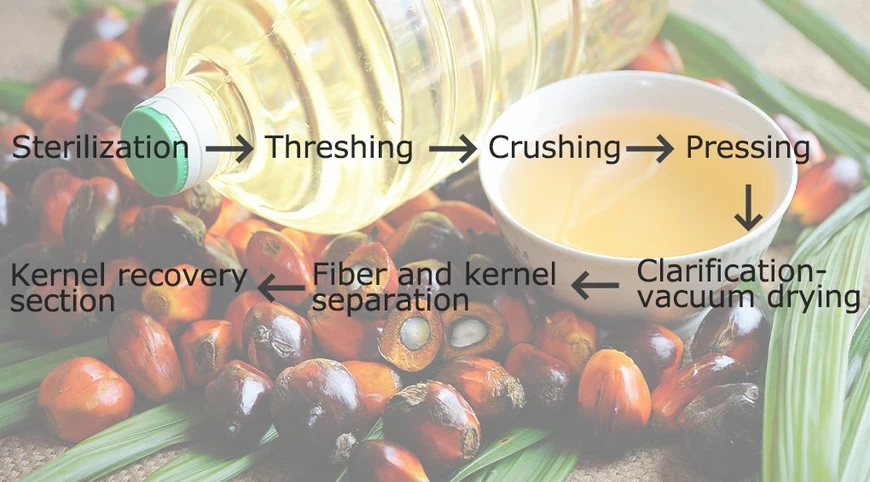 product-1020-565 product-1020-565