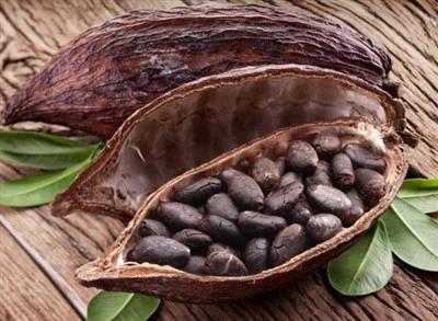 Production Process Of Cocoa Oil