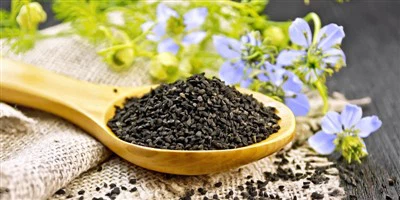 The Nigella Sativa Seed Oil Pressing Production Line